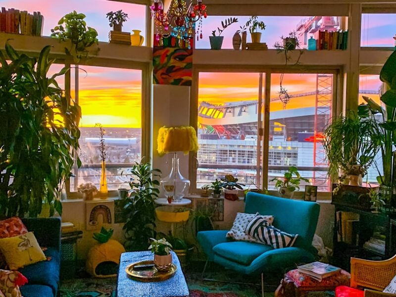 unsplash-cozy-therapy-room-plants-warm-interior